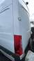 Mercedes-Benz Sprinter Tourer 316 CDI 3,5t / 3.250 mm - thumbnail 3