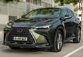 Lexus NX 300 300h Business Navigation 2WD Gris - thumbnail 6