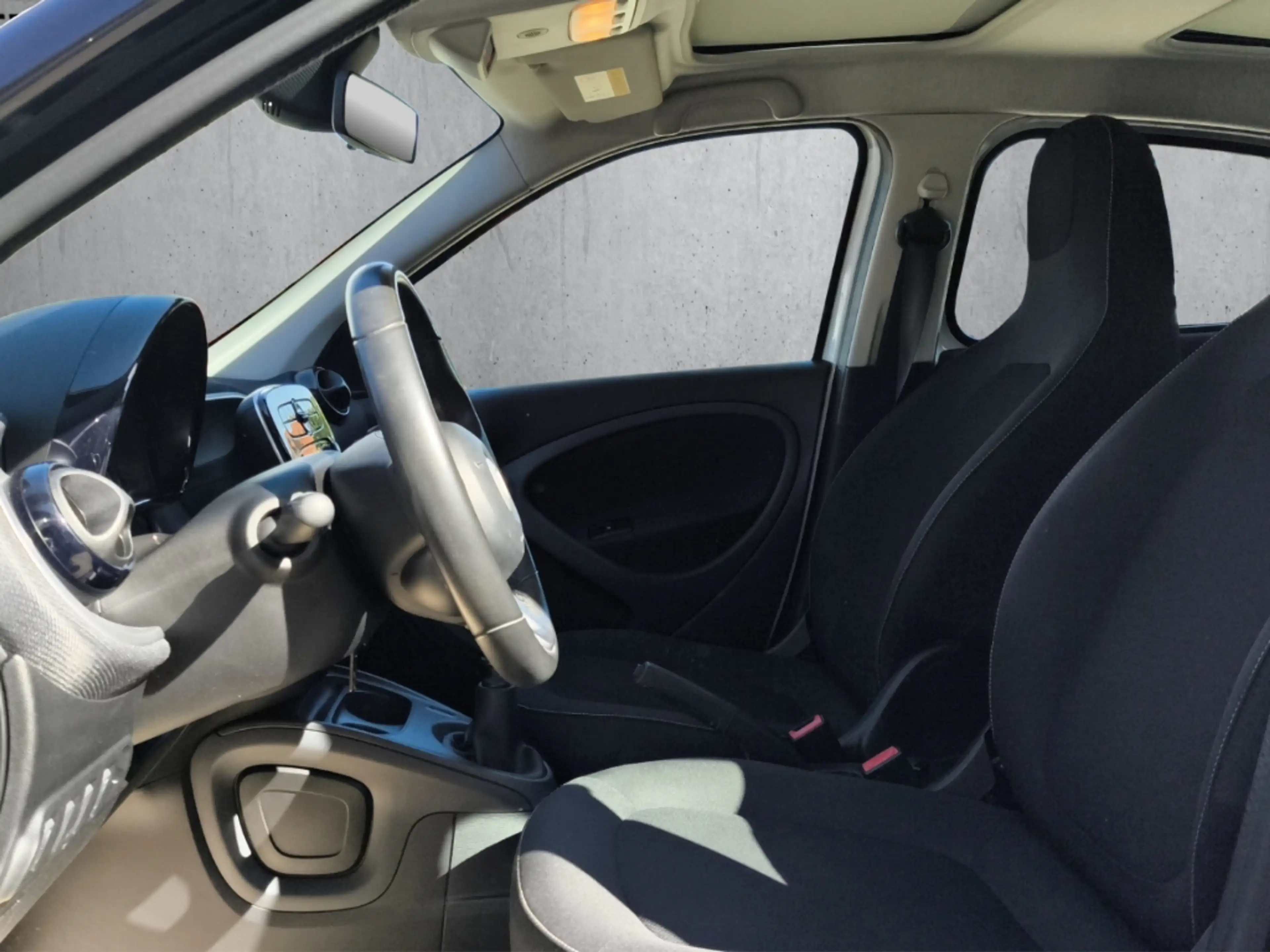 smart forFour Passion PANO ALM-EDITION KlimaA  SHZ Ambientebeleu — photo 9