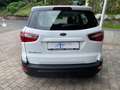 Ford EcoSport Cool & Connect Winter-Paket NAVI Weiß - thumbnail 7