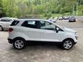 Ford EcoSport Cool & Connect Winter-Paket NAVI Weiß - thumbnail 6