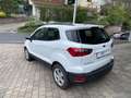 Ford EcoSport Cool & Connect Winter-Paket NAVI Weiß - thumbnail 8
