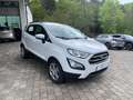 Ford EcoSport Cool & Connect Winter-Paket NAVI Weiß - thumbnail 4