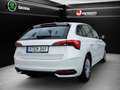 Skoda Scala Essence 1.0 TSI /Neues Modell /Ganzjahresreifen Weiß - thumbnail 14