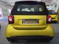 smart forTwo smart fortwo cabrio twinamic passion PT,Shz,Klima Giallo - thumbnail 19