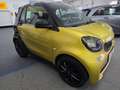 smart forTwo smart fortwo cabrio twinamic passion PT,Shz,Klima Giallo - thumbnail 17