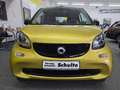 smart forTwo smart fortwo cabrio twinamic passion PT,Shz,Klima Giallo - thumbnail 16