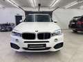 BMW X5 xDrive 30 d / M Paket / Pano / R Kamera Blanco - thumbnail 2