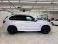 BMW X5 xDrive 30 d / M Paket / Pano / R Kamera Blanco - thumbnail 7