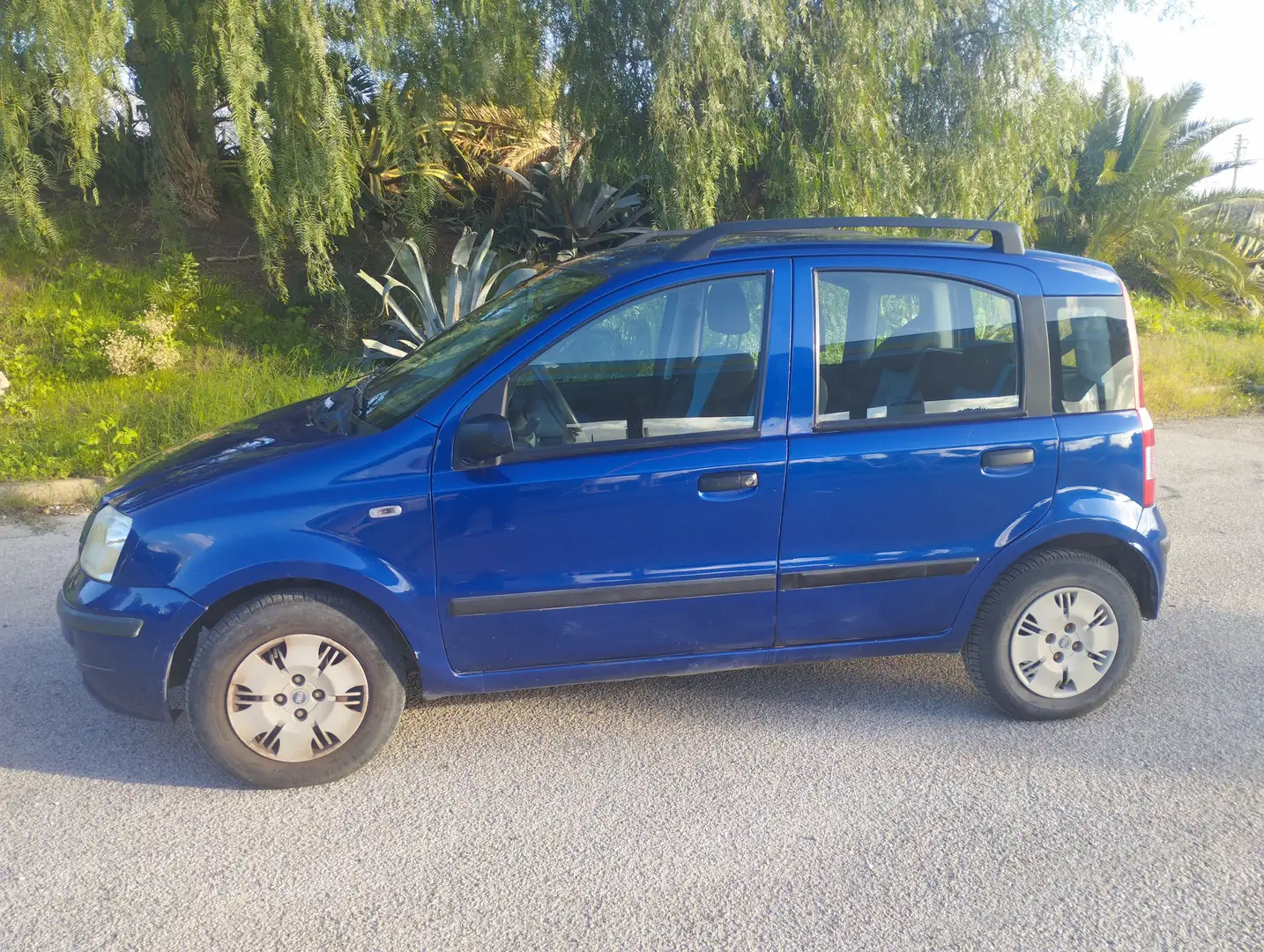 Fiat Panda Panda 1.2 Dynamic eco Blu/Azzurro - 2