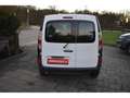 Renault Kangoo 1,5 DCi Maxi 5 places Blanc - thumbnail 5