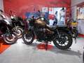 Royal Enfield Meteor 350 Supernova Marrone - thumbnail 6