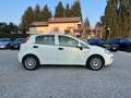 Fiat Punto Punto 2018 5p 1.3 mjt Street s NEOPATENTATI Blanc - thumbnail 8