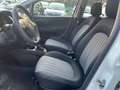 Fiat Punto Punto 2018 5p 1.3 mjt Street s NEOPATENTATI Blanc - thumbnail 10