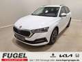 Skoda Octavia 1.5 TSI DSG Clever LED|Navi|virt.Cock.|RFK Weiß - thumbnail 1