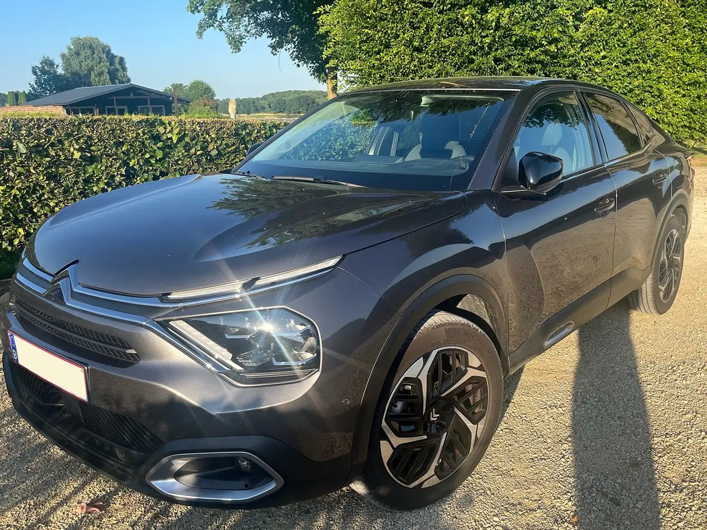 Citroen C4 X C4 X PureTech 130 Stop Grijs - 1