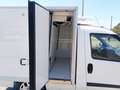 Fiat Doblo DOBLO' WORK-UP 1.6 MJT 105CV CASSA FRIGO FRCX-20 Bianco - thumbnail 2