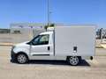 Fiat Doblo DOBLO' WORK-UP 1.6 MJT 105CV CASSA FRIGO FRCX-20 Bianco - thumbnail 8