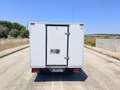 Fiat Doblo DOBLO' WORK-UP 1.6 MJT 105CV CASSA FRIGO FRCX-20 Bianco - thumbnail 5