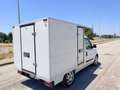 Fiat Doblo DOBLO' WORK-UP 1.6 MJT 105CV CASSA FRIGO FRCX-20 Bianco - thumbnail 3