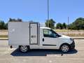 Fiat Doblo DOBLO' WORK-UP 1.6 MJT 105CV CASSA FRIGO FRCX-20 Bianco - thumbnail 4