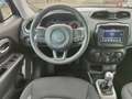 Jeep Renegade Renegade 1.0 T3 Limited Grijs - thumbnail 37