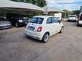 Fiat 500 LOUNGE NEOPATENTATI Wit - thumbnail 3