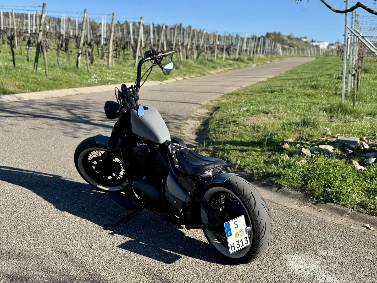 Kawasaki VN 800 Drifter - 2