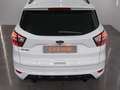 Ford Kuga 1.5 EcoB. Auto S&S ST-Line Limited Edition 4x2 Aut - thumbnail 11