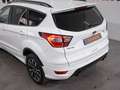Ford Kuga 1.5 EcoB. Auto S&S ST-Line Limited Edition 4x2 Aut - thumbnail 10