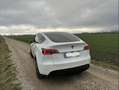 Tesla Model Y RWD - thumbnail 3