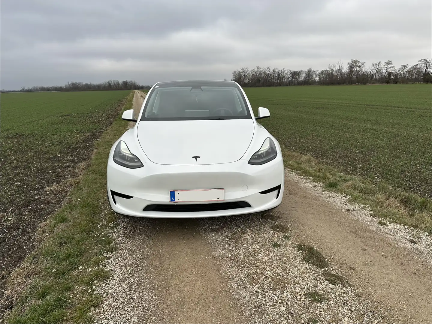 Tesla Model Y RWD - 2