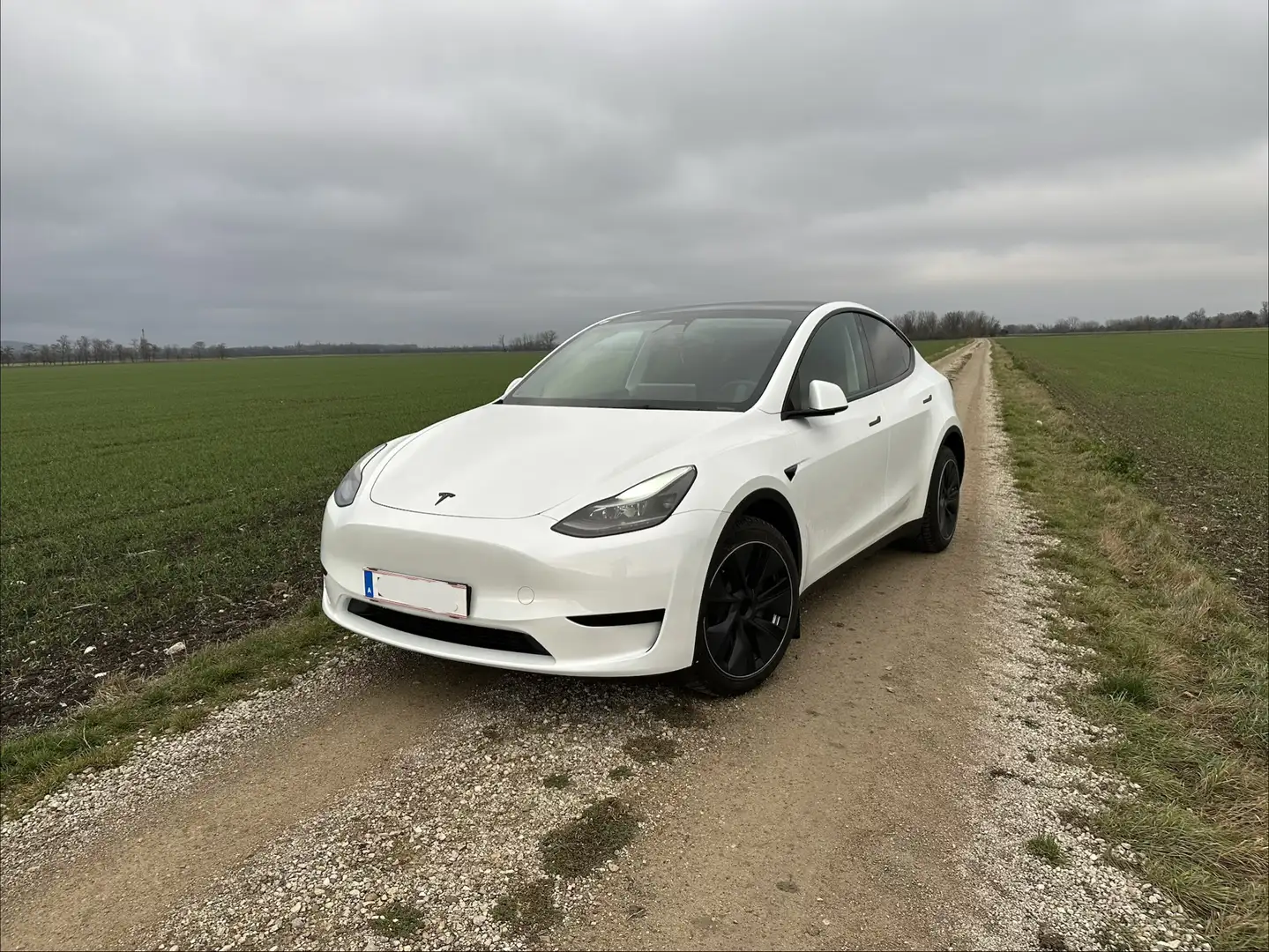 Tesla Model Y RWD - 1