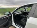 Tesla Model Y RWD - thumbnail 5