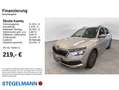 Skoda Kamiq 1.0 TSI DSG Tour Silber - thumbnail 2