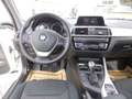BMW 116 Advantage -- Ö-Paket Weiß - thumbnail 11