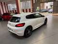 Volkswagen Scirocco 1.4 TSI 160CV R-LINE TETTO PANORAMICO Bianco - thumbnail 7
