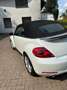 Volkswagen Beetle The Beetle Cabriolet 2.0 TSI DSG Exclusive Sport Білий - thumbnail 5