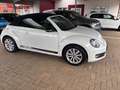 Volkswagen Beetle The Beetle Cabriolet 2.0 TSI DSG Exclusive Sport Білий - thumbnail 7