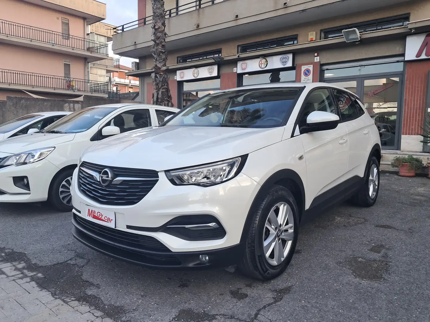 Opel Grandland X 1.5 Ecotec 130 cv Business Edition Bianco - 1