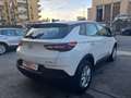 Opel Grandland X 1.5 Ecotec 130 cv Business Edition Bianco - thumbnail 2