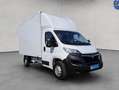 Opel Movano 2.2 D L4H1 2WD VA Edition Kofferaufbau Wit - thumbnail 8