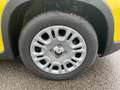 Fiat Panda 1.0 firefly hybrid 70CV MT6 Pandina *AZIENDALE* Geel - thumbnail 10