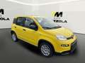 Fiat Panda 1.0 firefly hybrid 70CV MT6 Pandina *AZIENDALE* Geel - thumbnail 5