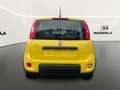 Fiat Panda 1.0 firefly hybrid 70CV MT6 Pandina *AZIENDALE* Geel - thumbnail 7