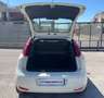 Fiat Punto VAN 1.3 M-JET 5 PORTE 4 POSTI N1 - 2018 Blanc - thumbnail 13