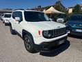 Jeep Renegade 1.6 Mjt 120 CV Longitude KM CERTIFICATI Blanc - thumbnail 2