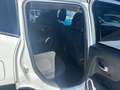Jeep Renegade 1.6 Mjt 120 CV Longitude KM CERTIFICATI Blanc - thumbnail 9