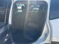 Jeep Renegade 1.6 Mjt 120 CV Longitude KM CERTIFICATI Blanc - thumbnail 6