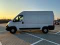 Opel Movano Cass. Al. 35 L2 BlueHDi 140 S&S Bianco - thumbnail 2